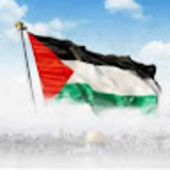 hamedawad